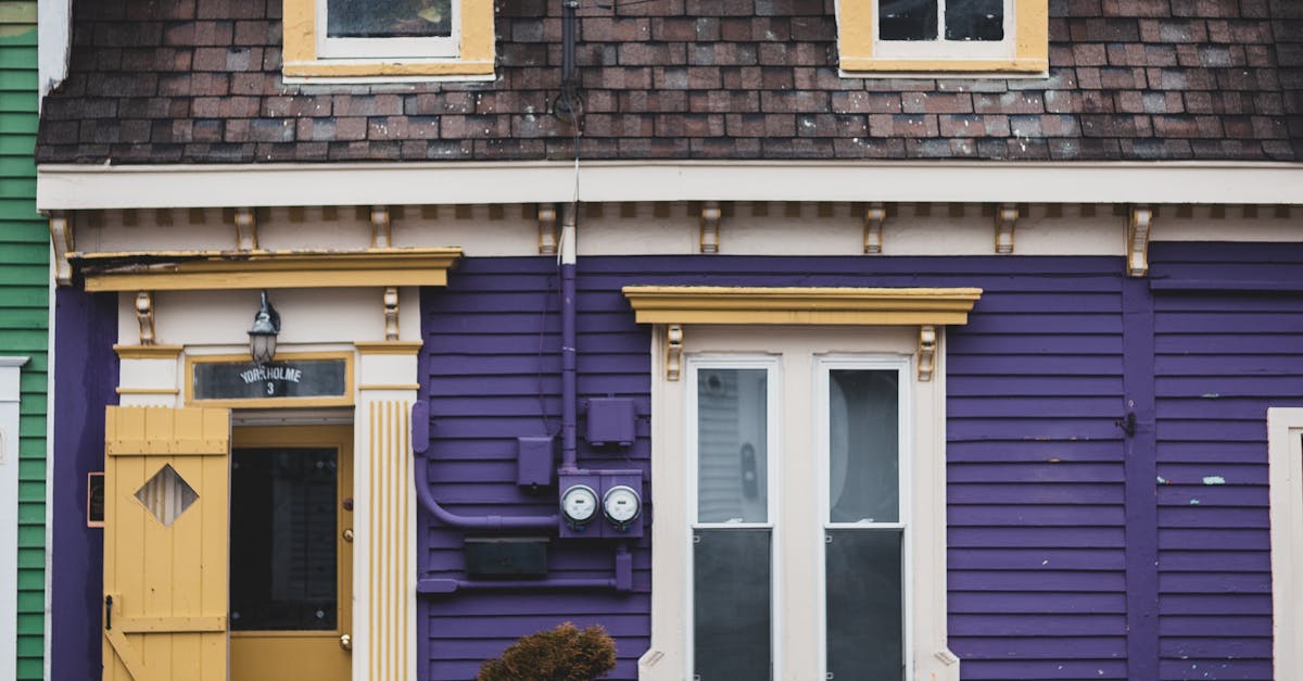How to get rid of brown recluse spiders in attic