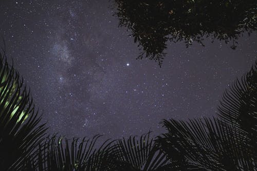 Stars on Night Sky

