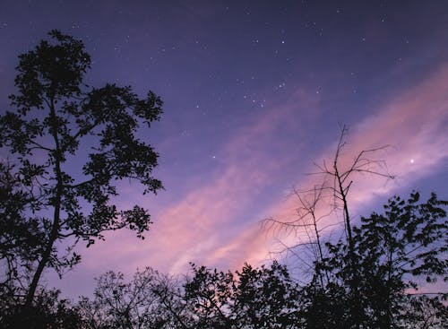 Free stock photo of astronomy, constellation, constellations