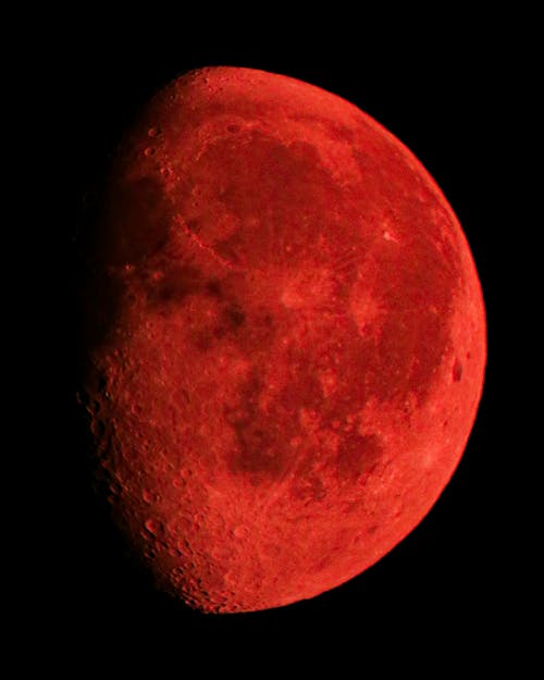 Free stock photo of astronomy, full moon, moon