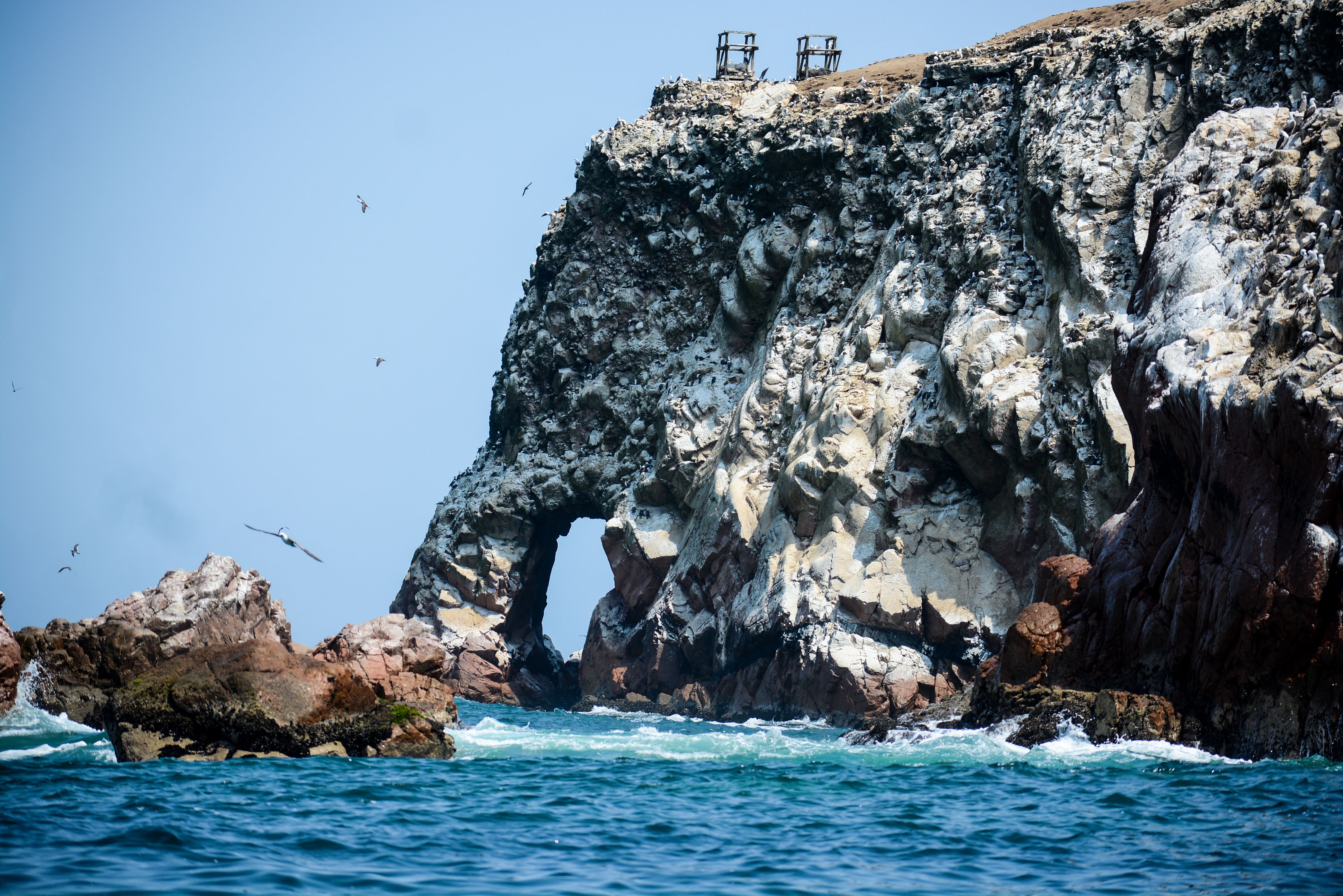 Birds Flying Near the Gray Rock Formation on Body of Water · Free Stock ...