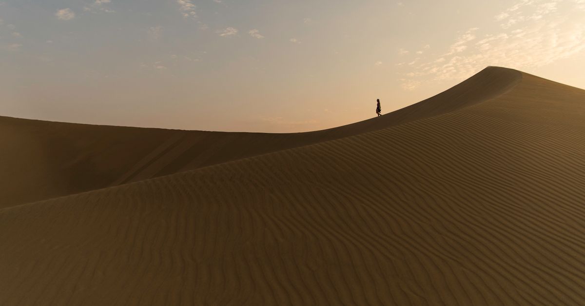 Desert safari