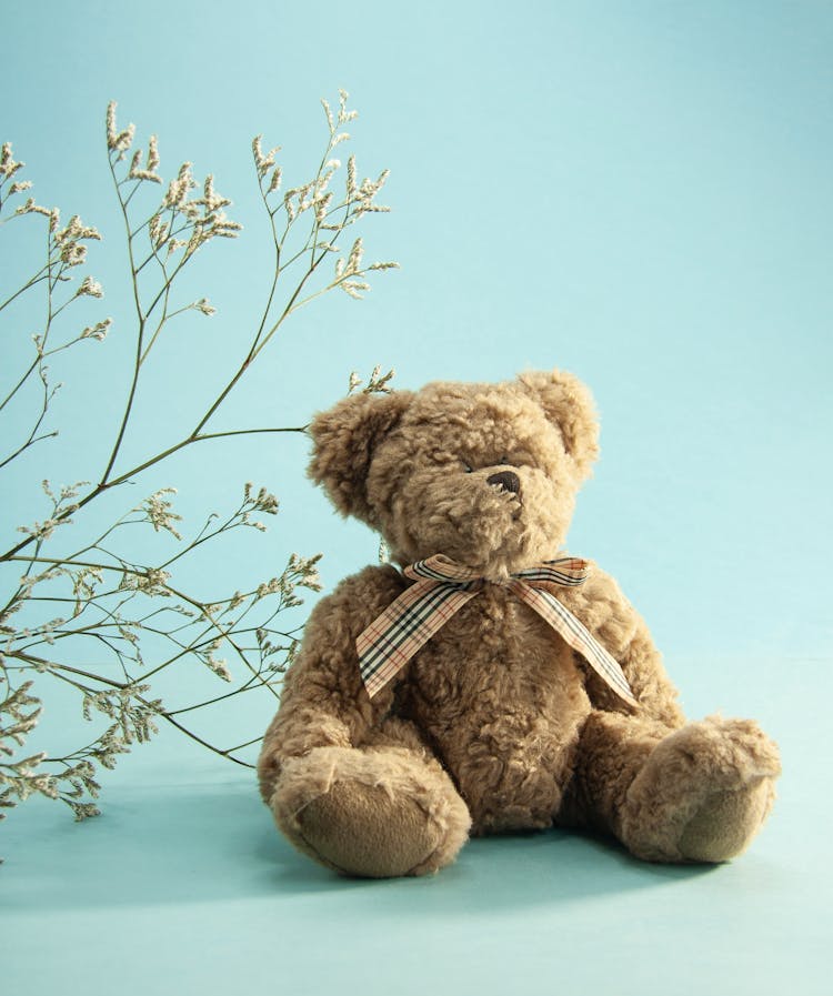 Plush Bear Near Plant Twigs