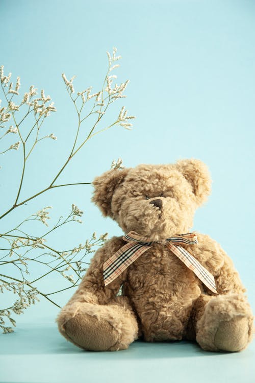 Adorable little teddy bear stuffed bear with tied bow with Gypsophila branches against blue background