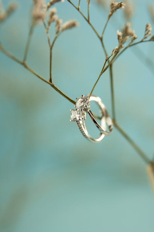 Pair of rings hanging on twig