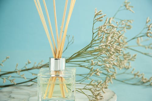 Free Composition of aroma sticks in glass diffuser with Gypsophila branches against blue background Stock Photo