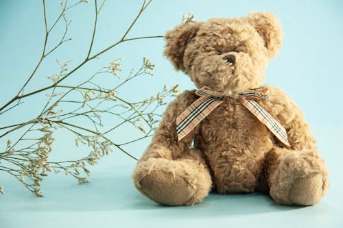 Cute fluffy stuffed teddy bear placed near thin sprigs of Gypsophila on blue background