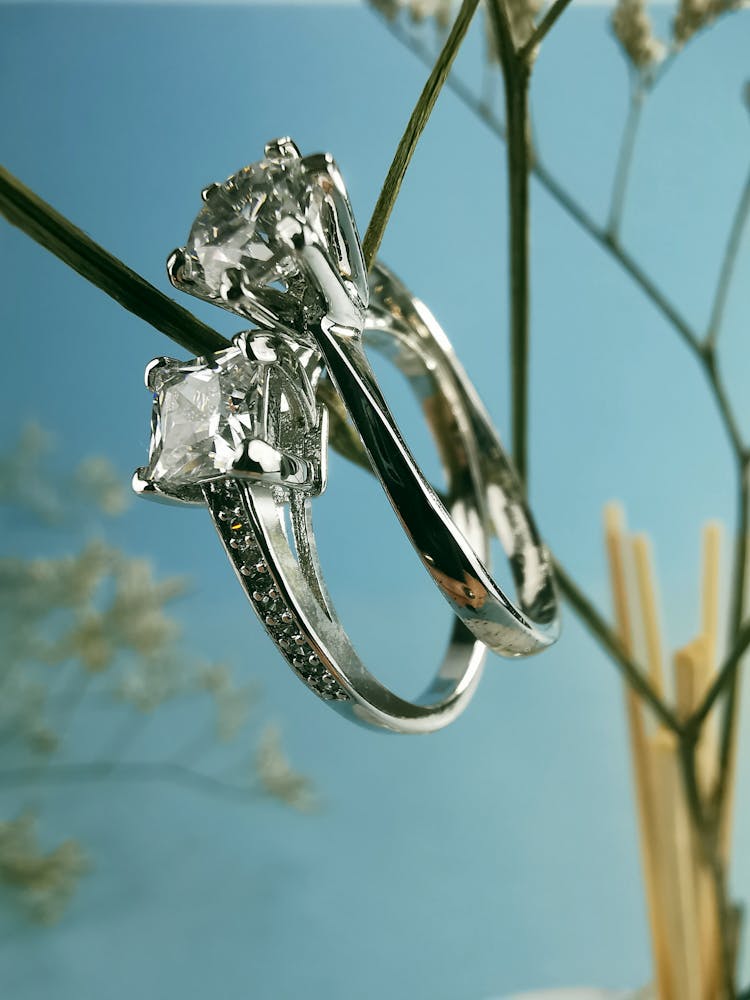 Wedding Rings On Thin Twig