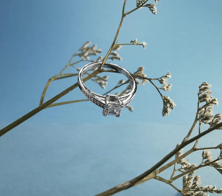 Silver Diamond Ring Hanging On Branch