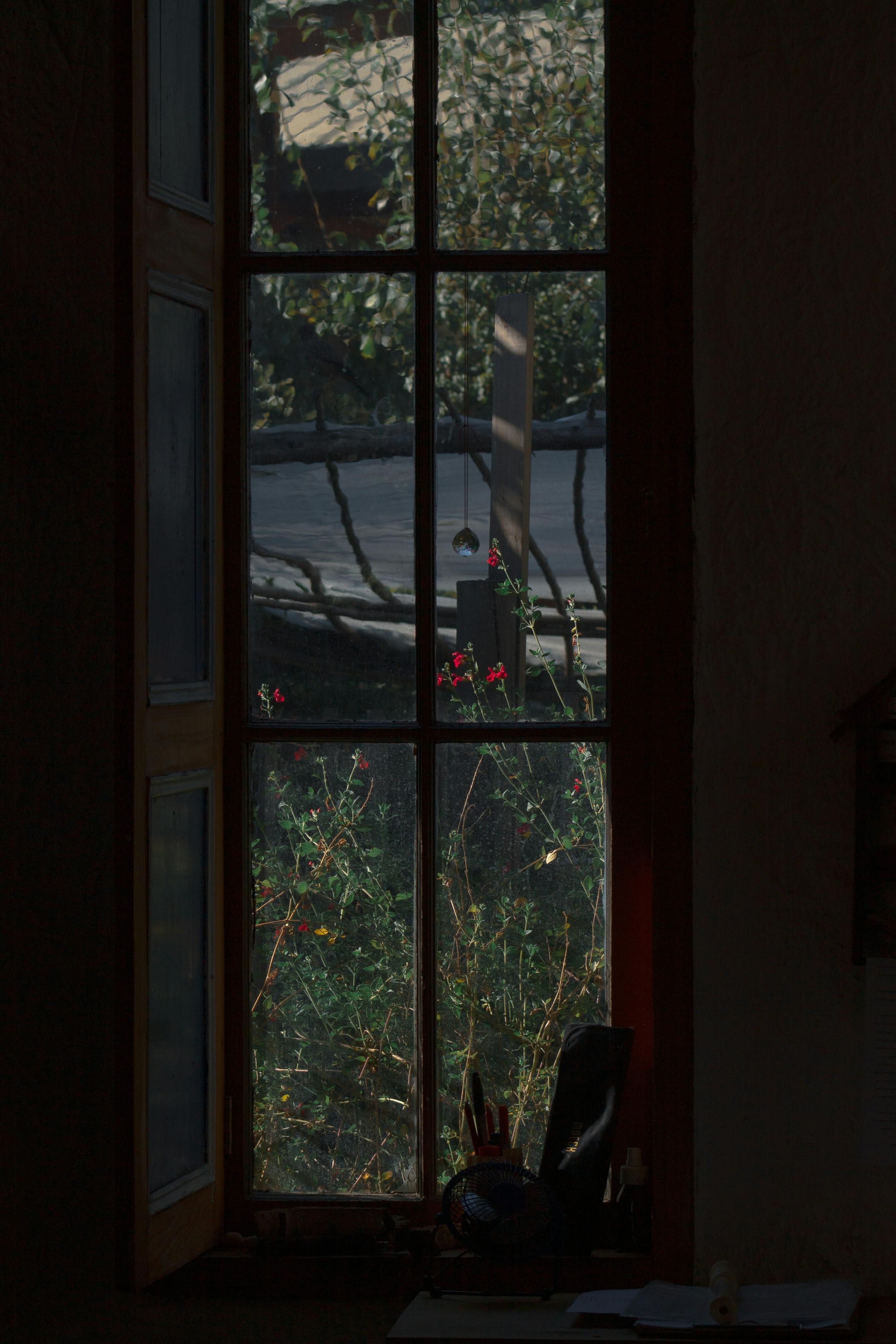 A tranquil view of a garden through a window in a dimly lit room, perfect for a peaceful ambiance.