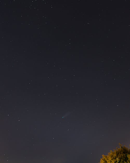 Free stock photo of astronomy, comet, constellation Stock Photo