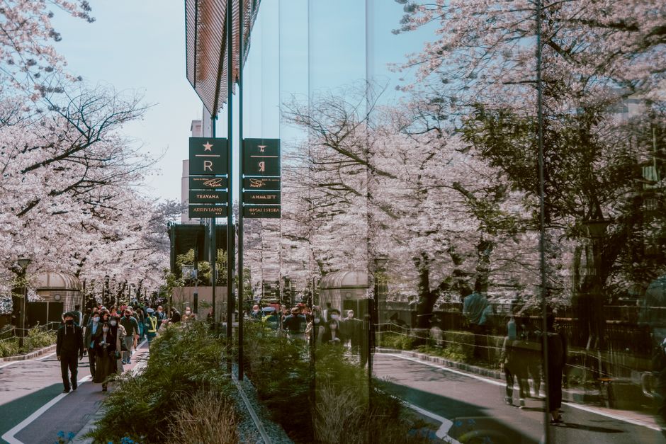 休日に暇な一人の東京、結局どこ行けば正解だっけ?