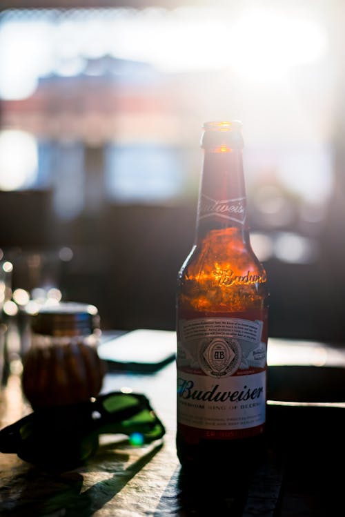 啤酒, 啤酒瓶, 喝 的 免费素材图片
