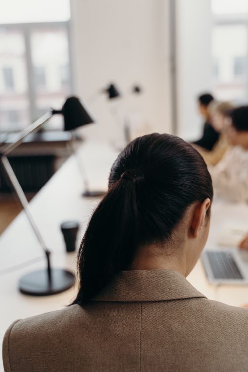 Free Back view of a professional woman working in a modern office setting with colleagues. Stock Photo