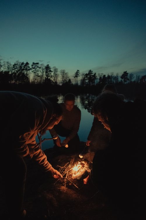Free A group of friends enjoying a campfire by a Swedish lake at night, creating warm memories. Stock Photo