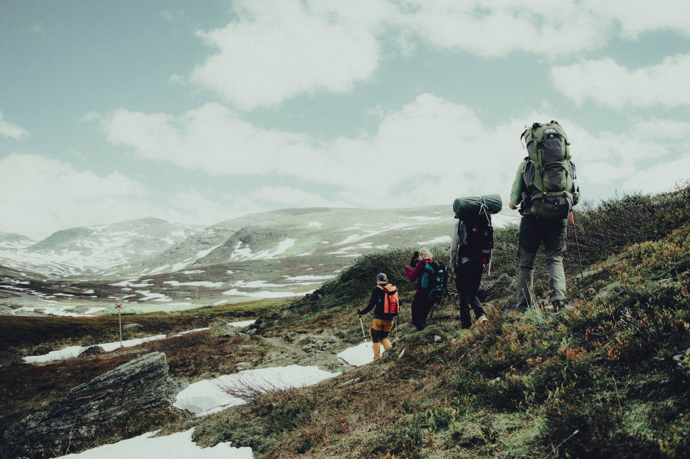 A group of hikers with backpacks, seen from behind, trekking along a trail through green, lush Swedish mountain terrain under a cloudy summer sky.