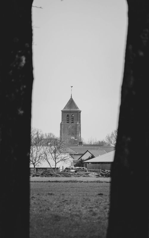 Free Grayscale photo of a church tower framed by trees in Luyksgestel, Netherlands. Stock Photo