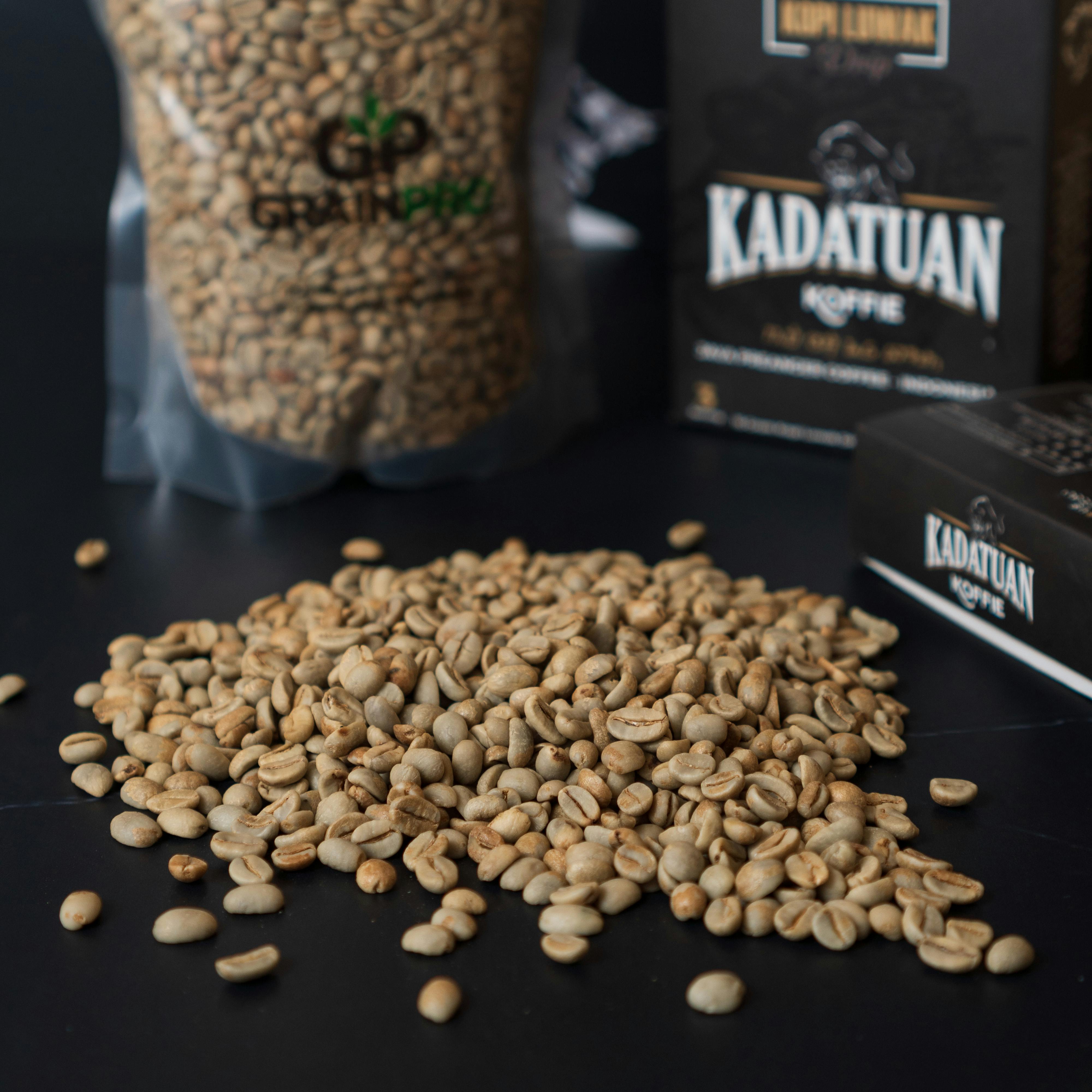 Visiting a Luwak Coffee Plantation Controversial or Cultural?