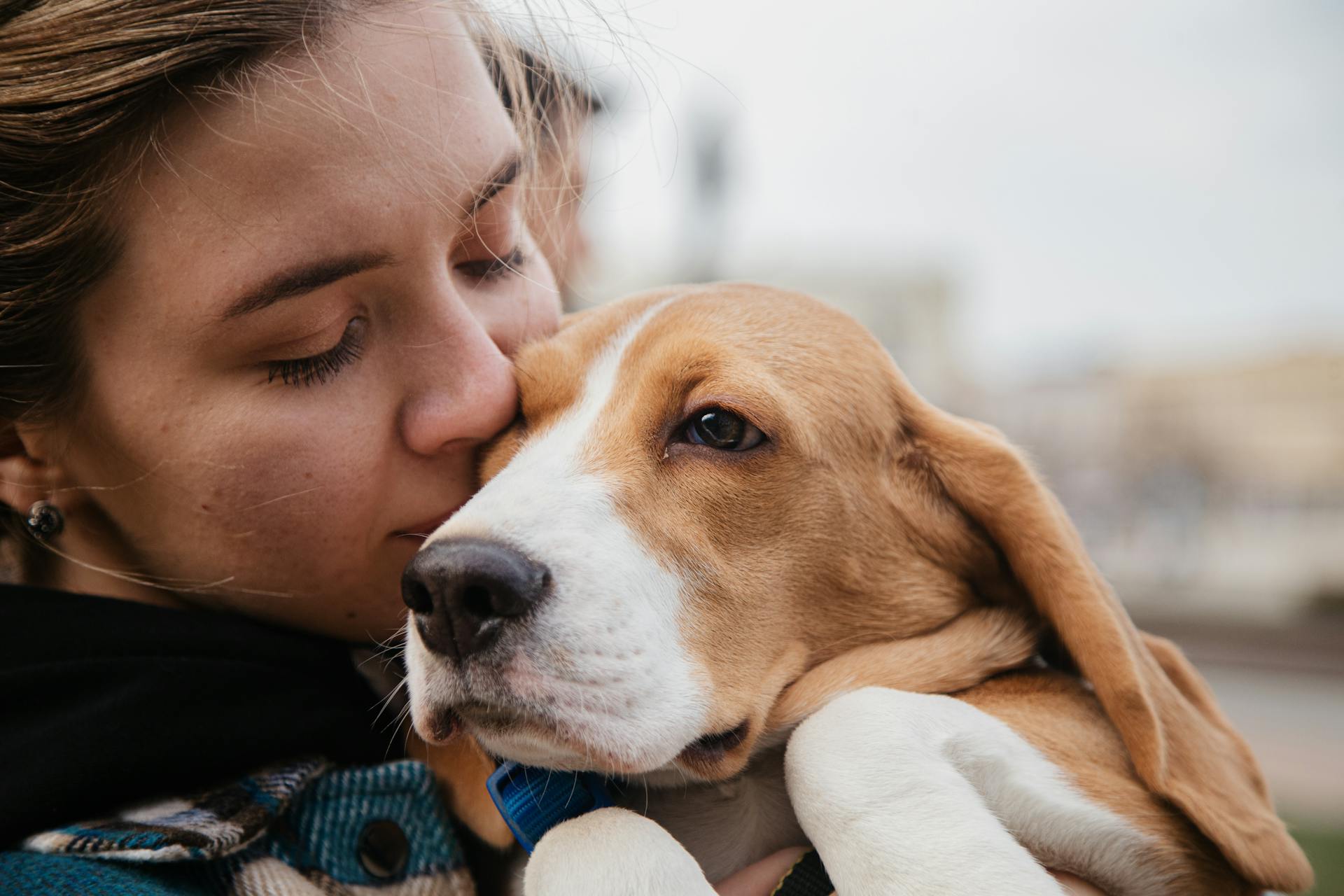 Een close-upfoto van een vrouw die haar schattige beagle zoent