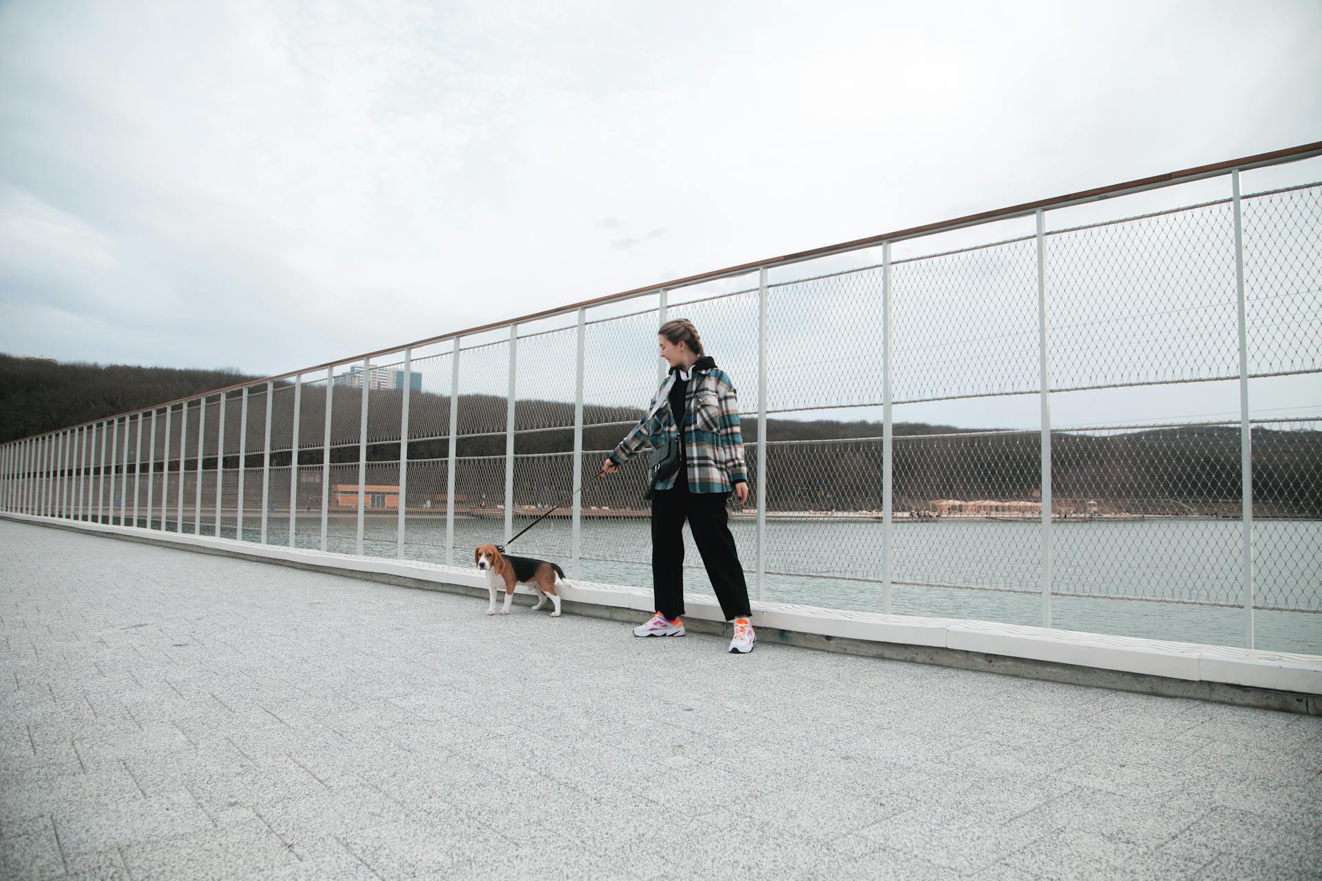 A Woman Walking Her Dog