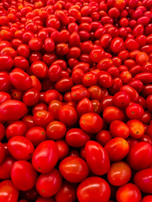 Photo of a Pile of Red Tomatoes