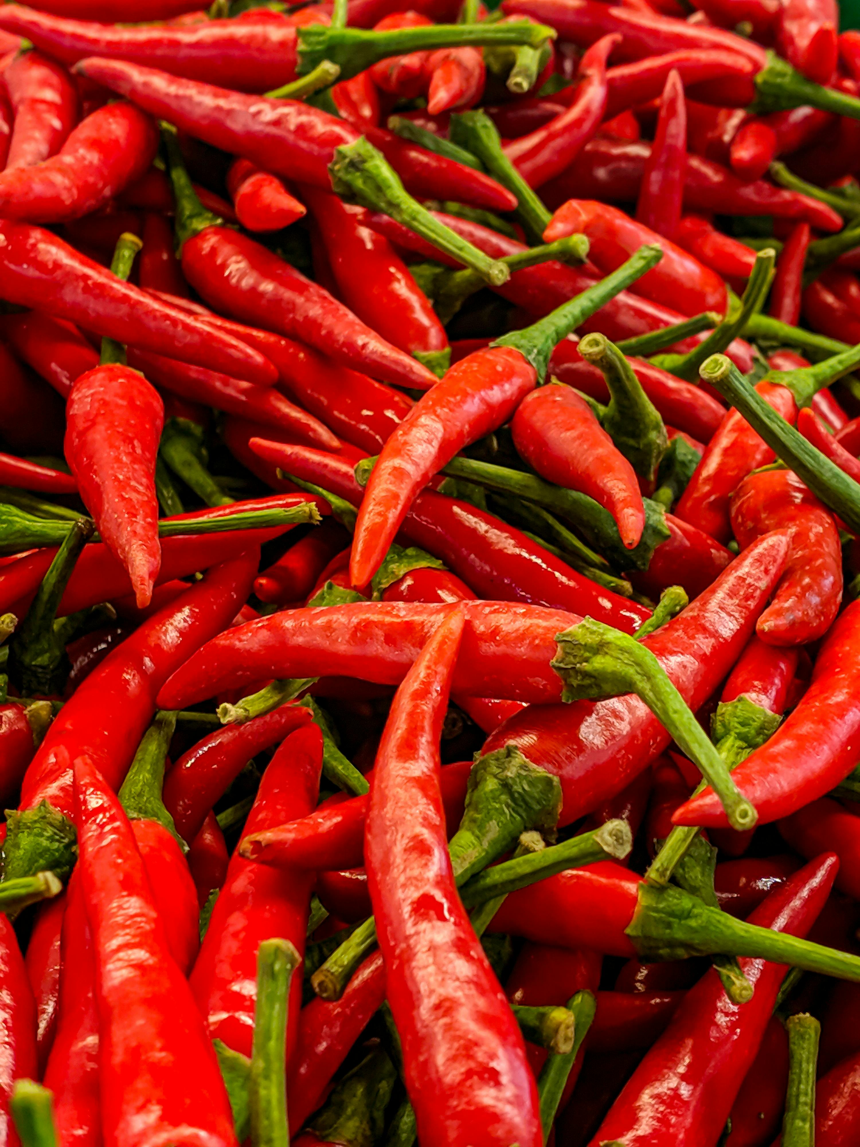 Red chili peppers lay on the ground. Hot spice wallpaper. Food banner. Copy  space - Stock Image - Everypixel