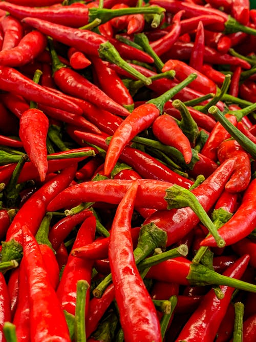 Free Close-Up Photo of Red Chili Peppers Stock Photo