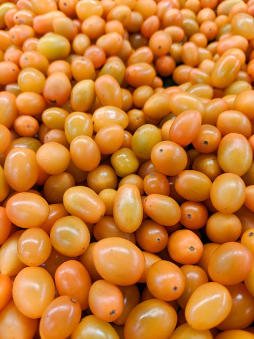 Close-Up Shot of Fresh Tomatoes