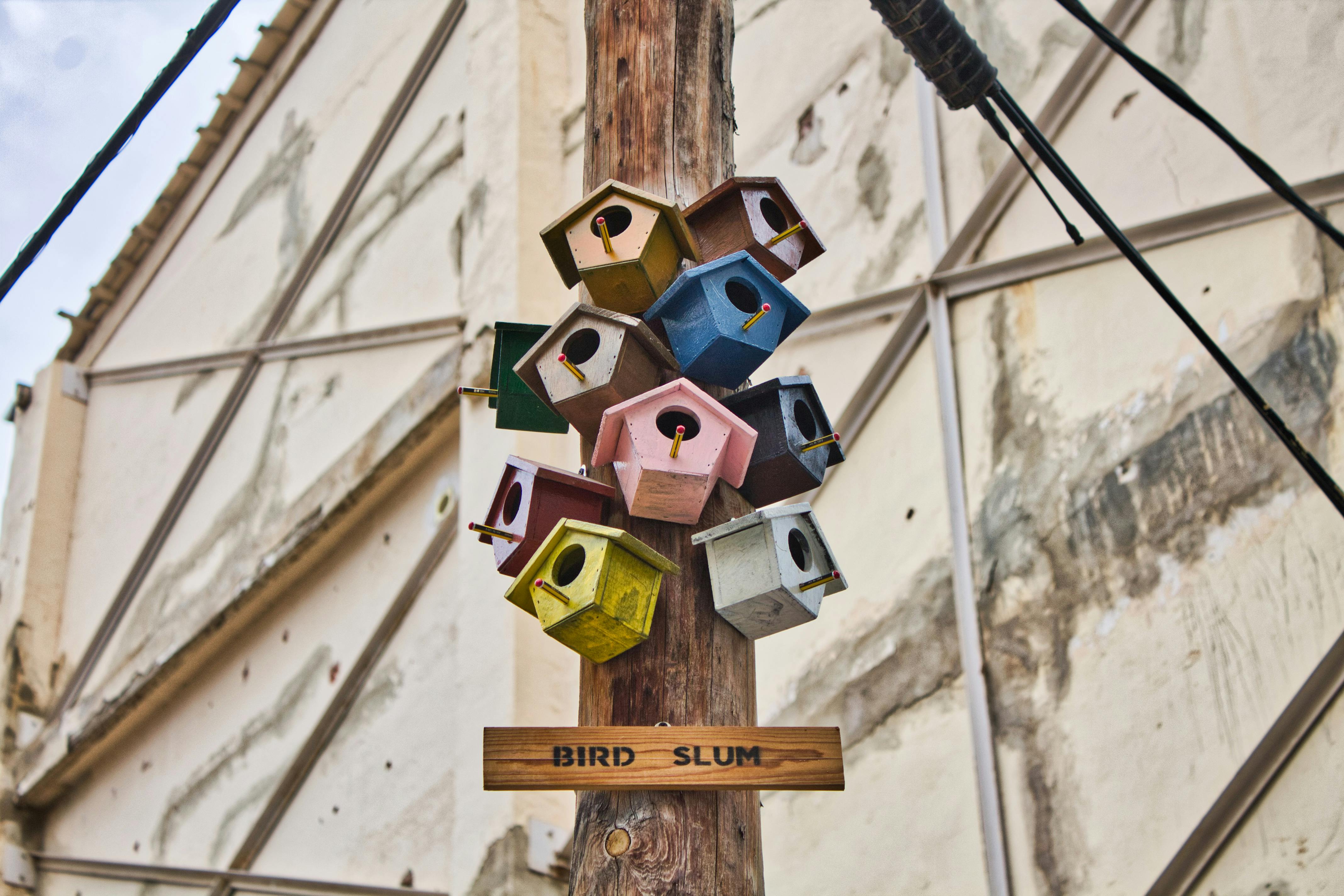 wooden bird house on wooden post