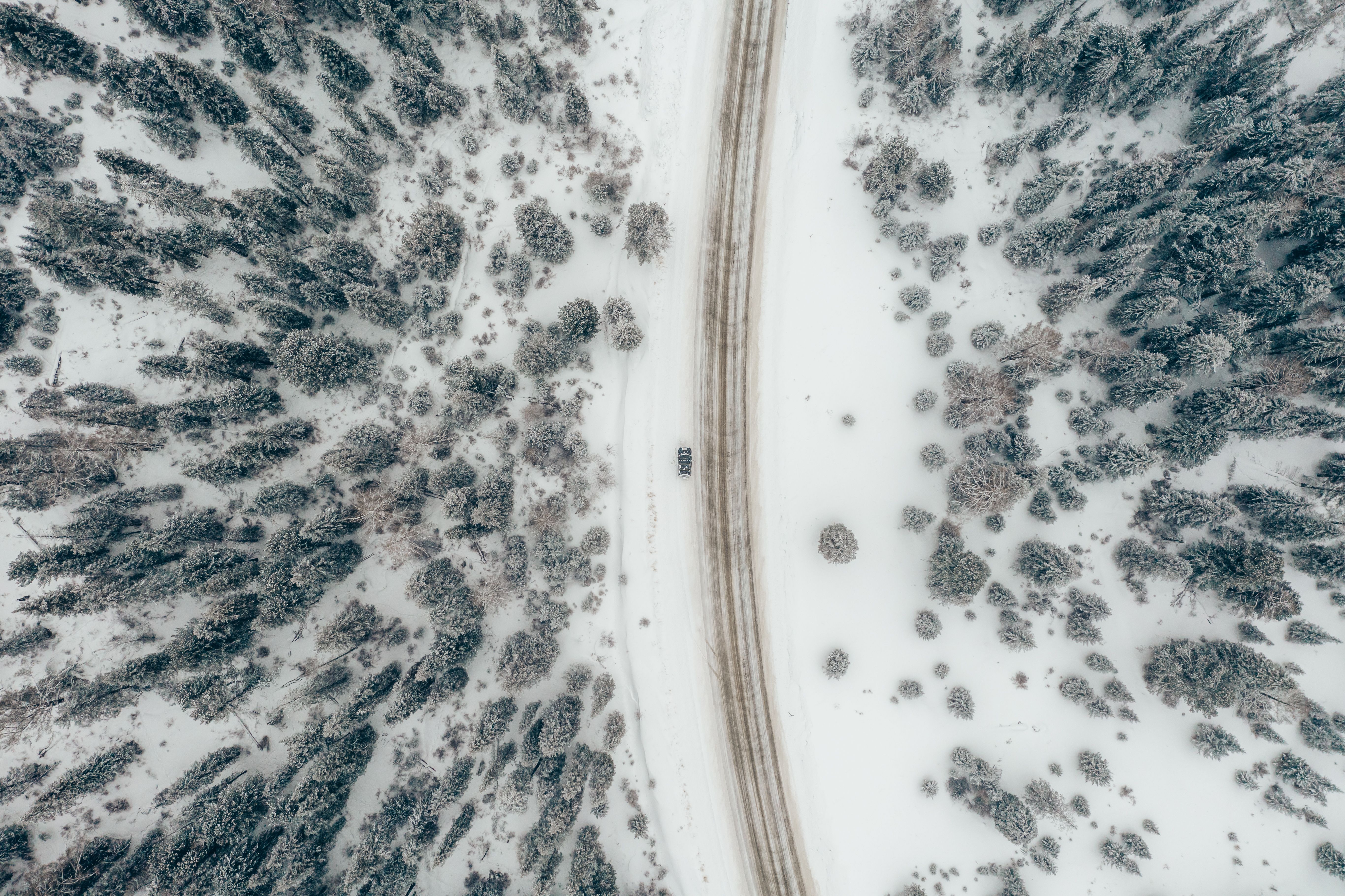 Aerial Photography of Road in Forest · Free Stock Photo