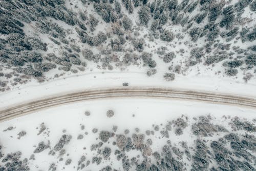 Бесплатное стоковое фото с автомобиль, Аэрофотосъемка, деревья