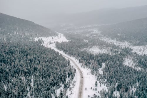 免費 冬季, 大雪覆蓋, 樹木 的 免費圖庫相片 圖庫相片