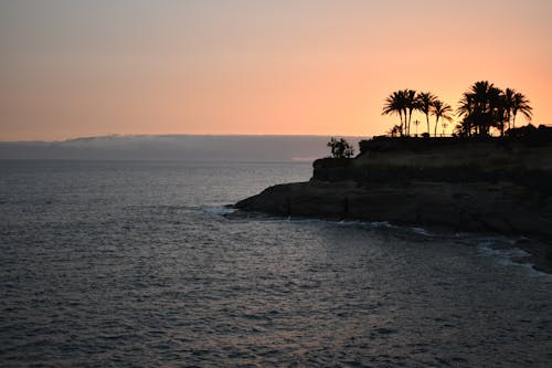 Silhouette of Palm Trees on the Island during Sunset