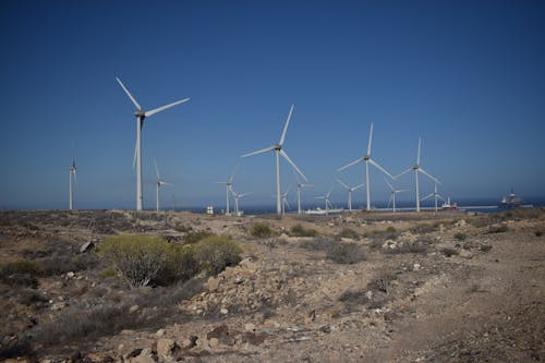 Fotos de stock gratuitas de campo, energía alternativa, energía limpia