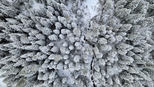 Stunning aerial view of a snow-covered forest during wintertime, showcasing nature's beauty.