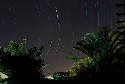 Long exposure photo capturing star trails over lush green foliage against a night sky.