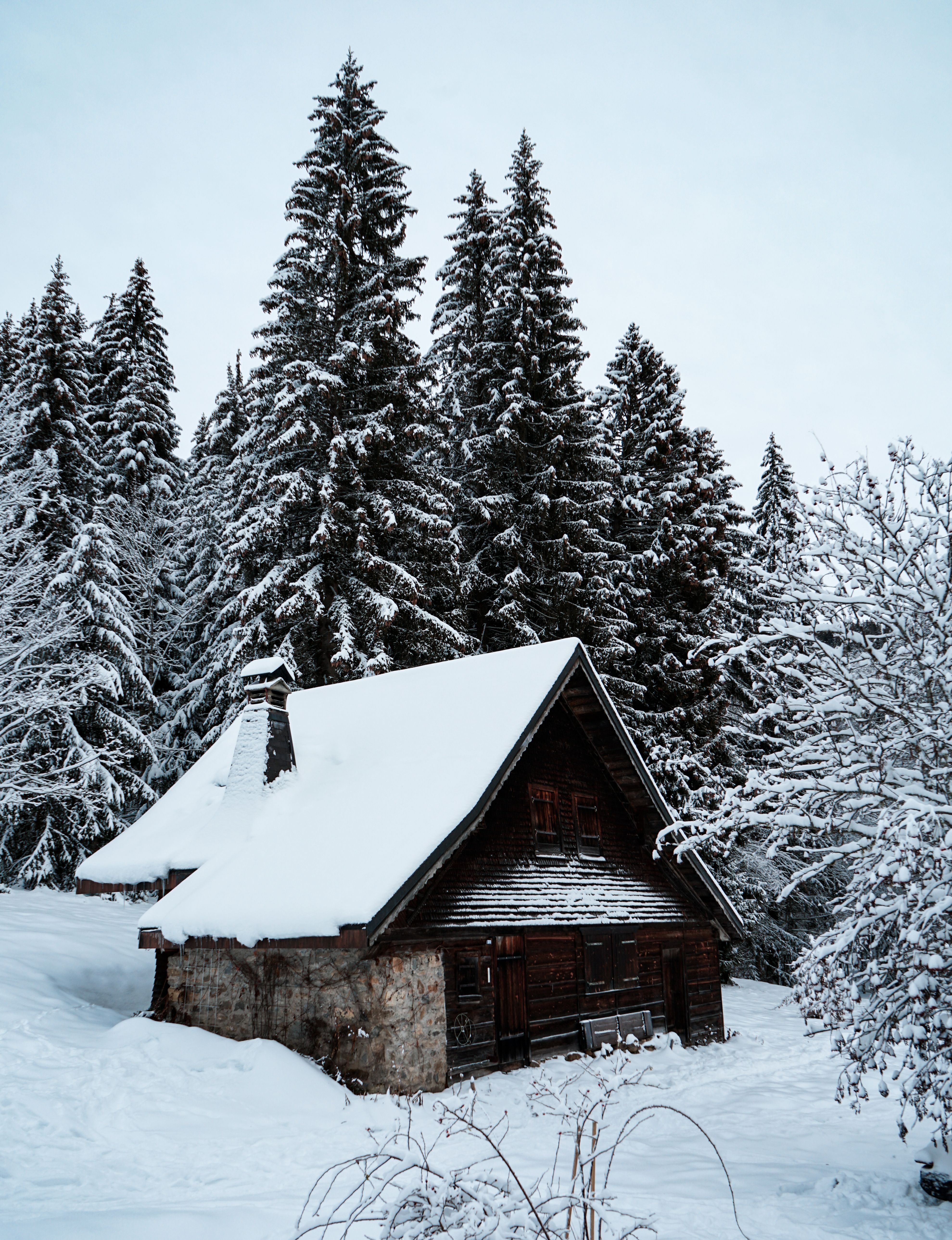 Brown Wooden House Covered With Snow Near Trees · Free Stock Photo