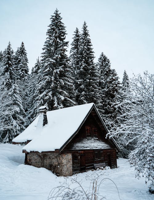 ağaçlar, bungalov, buz tutmuş içeren Ücretsiz stok fotoğraf