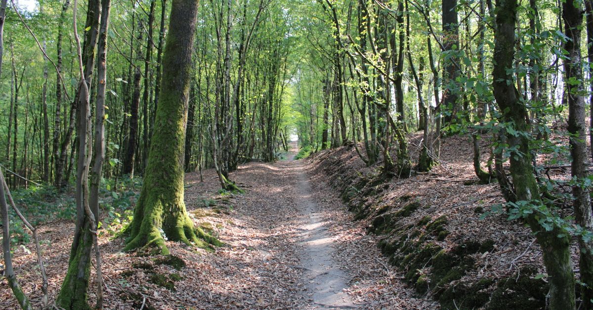Bataille de Verdun : Guide de Visite Historique