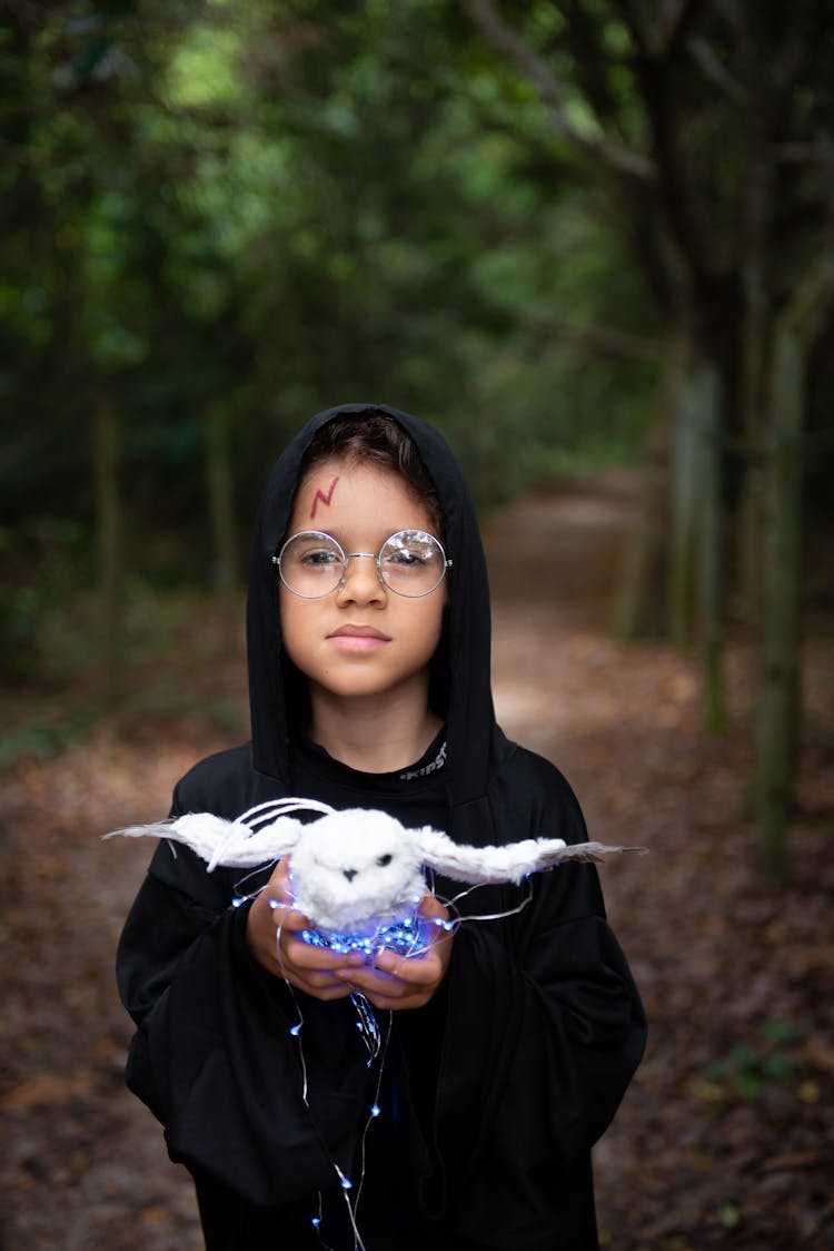 Boy In Costume Of Wizard With Owl