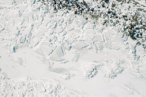 Immagine gratuita di ambiente, artico, congelato