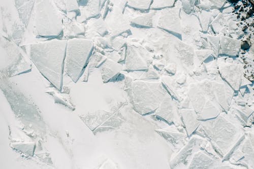 Foto profissional grátis de coberto de neve, com frio, congelado