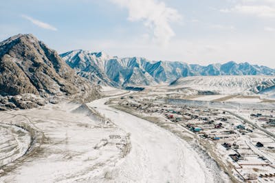 Tactical Field Knife