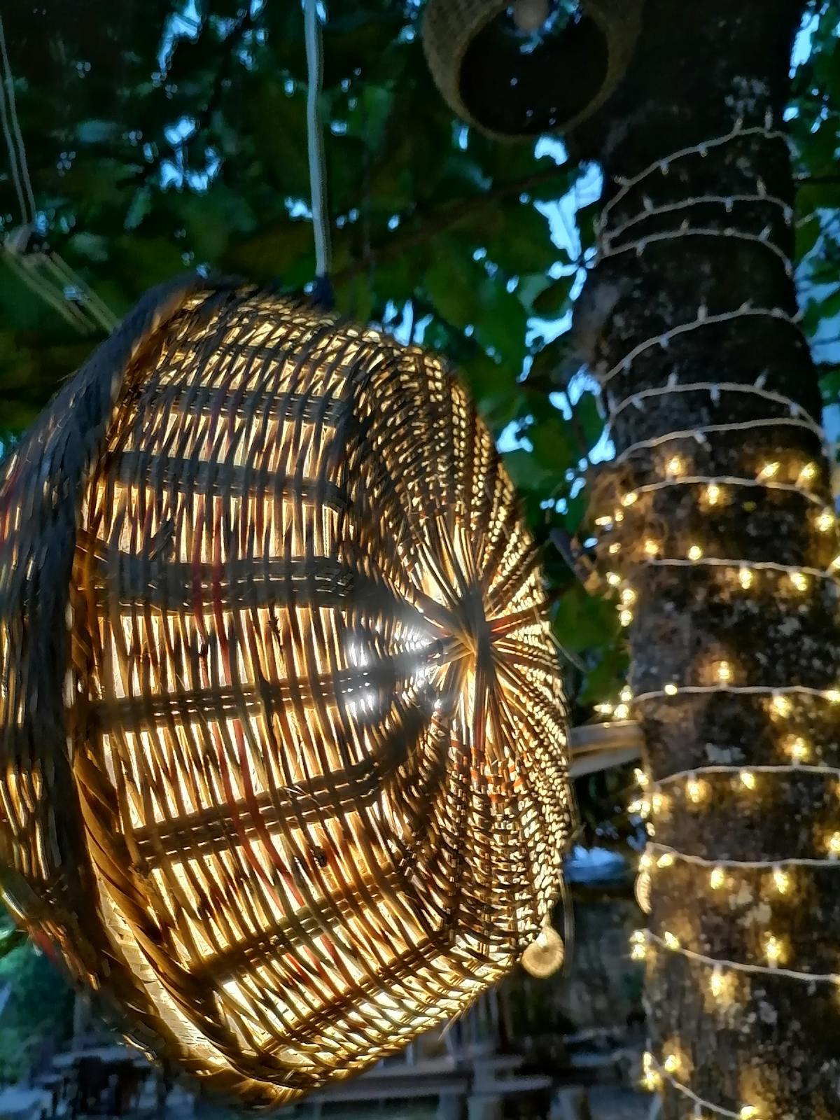Clock next to a plate and cutlery to symbolize fasting and eating windows