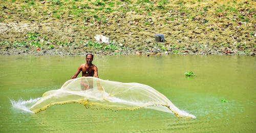 Ilmainen kuvapankkikuva tunnisteilla kalanmetsästäjä, kalastaja, metsästää kaloja joessa