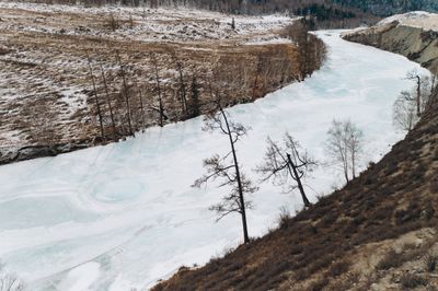 Ancient Virus Revived From Siberian Permafrost