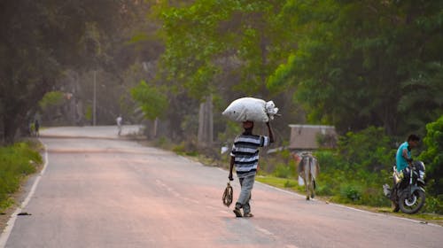 Foto stok gratis gajol ke jalan bamongola, jalan bengal, membebani manusia di kepala