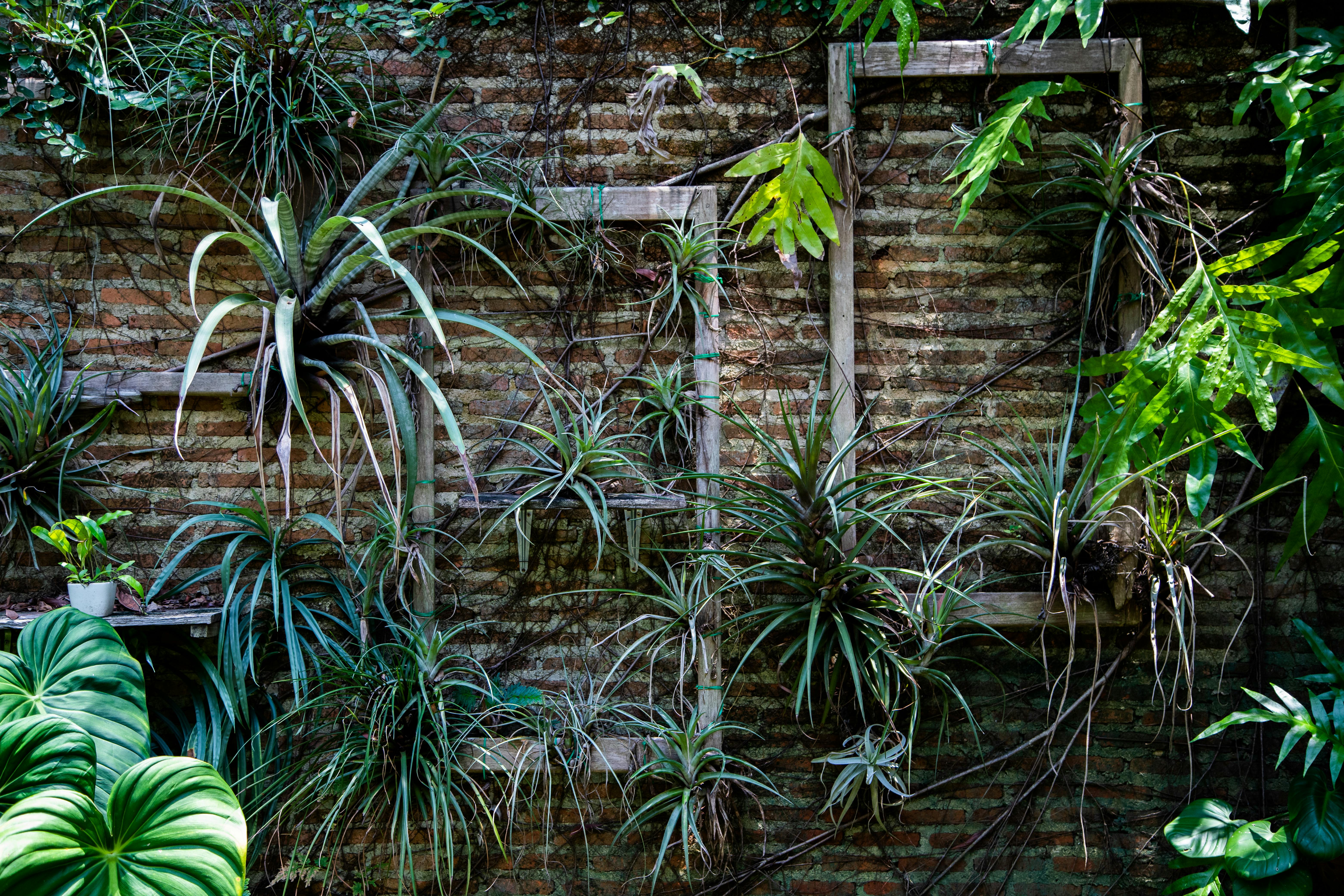 pexels-photo-7443025.jpeg?auto=compress&cs=tinysrgb&h=650&w=940