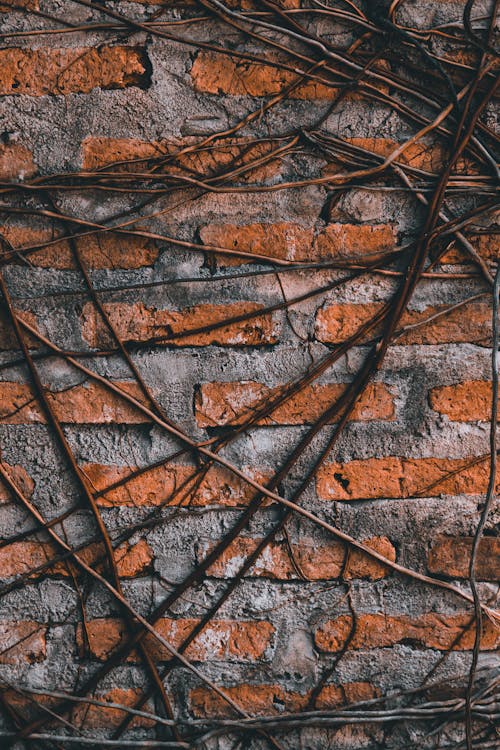 Close-up of Wires on a Brick Wall 