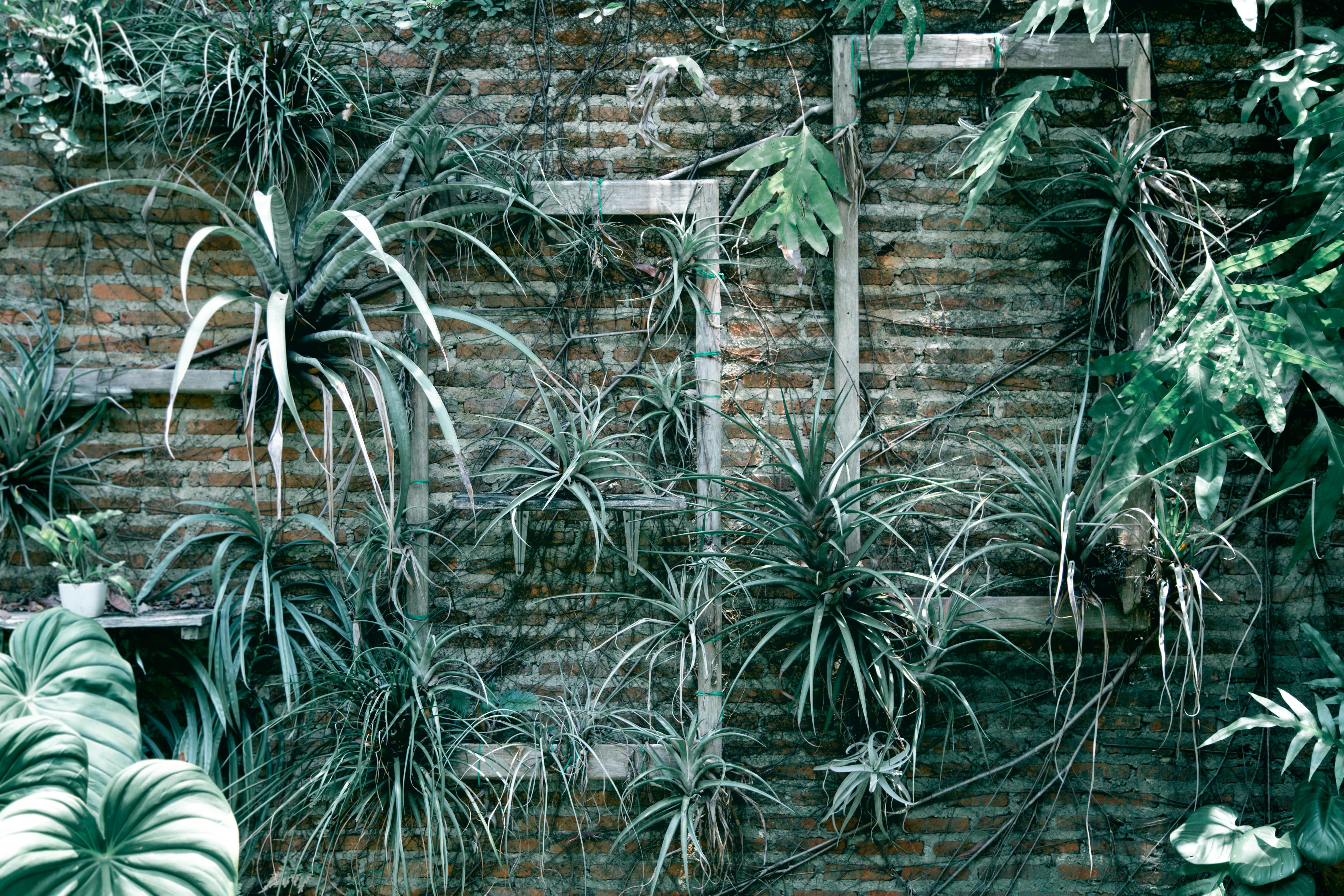 10 idées DIY pour un jardin vertical à la maison